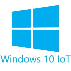 Win 10 IOT Ent SAC MultiLang ESD OEI Entry
